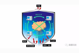 手持维盟防水墙，守护企业内网