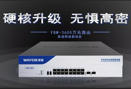 硬核升级，万兆来袭！强带机2000台，维盟FBM-3600路由器