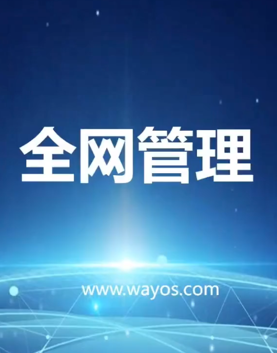 全网管理
