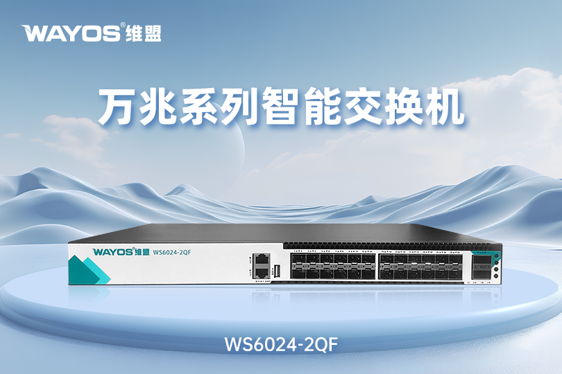 WS6024-2QF万兆系列智能交换机