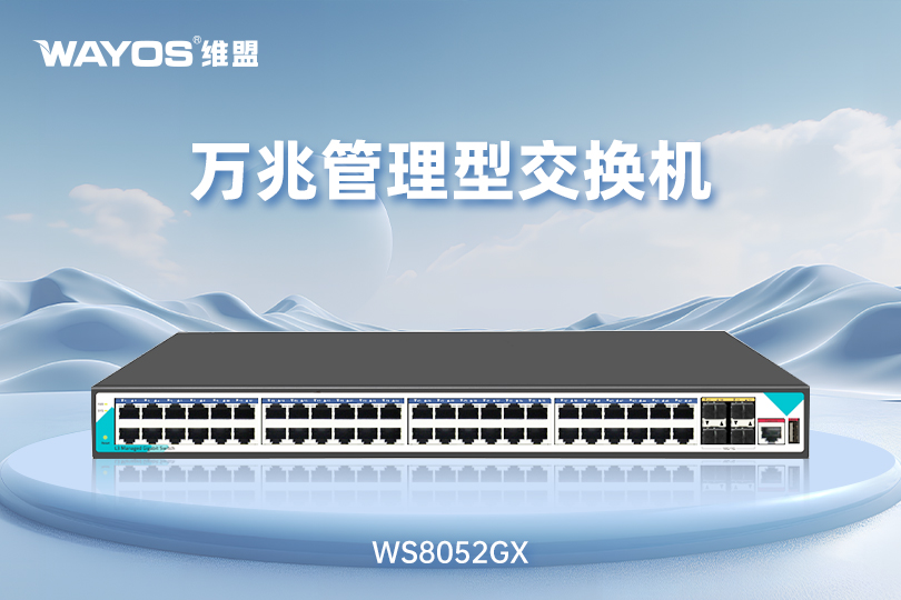 WS8052GX万兆管理型交换机