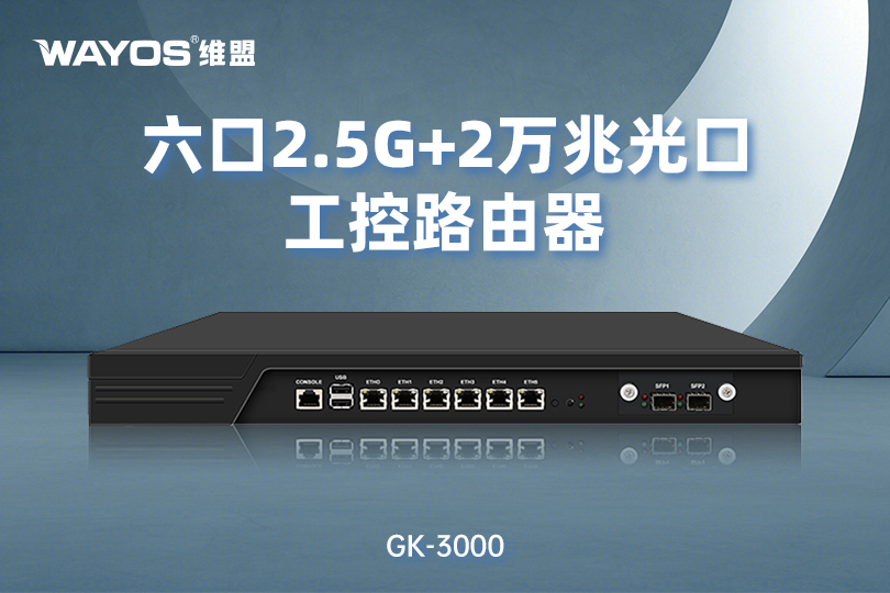 GK3000六口2.5G电口+2万兆光口